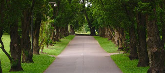 Greener Environment
